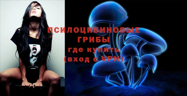 синтетический гашиш Няндома