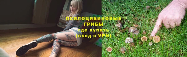 синтетический гашиш Няндома