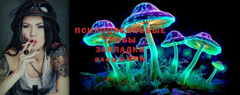 Псилоцибиновые грибы Psilocybine cubensis  Отрадная 