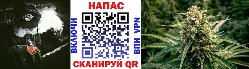 Шишки марихуана Amnesia  цены наркотик  Отрадная 